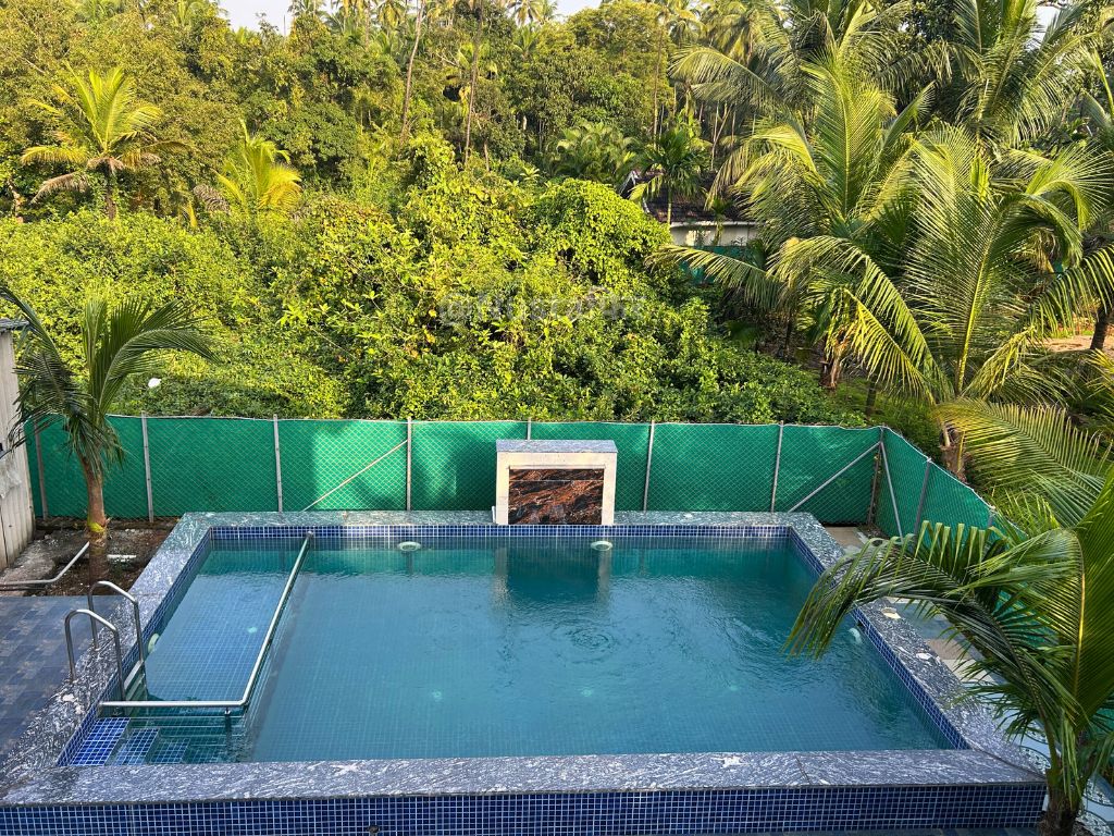 Swimming Pool Nestled in Coconut Grove