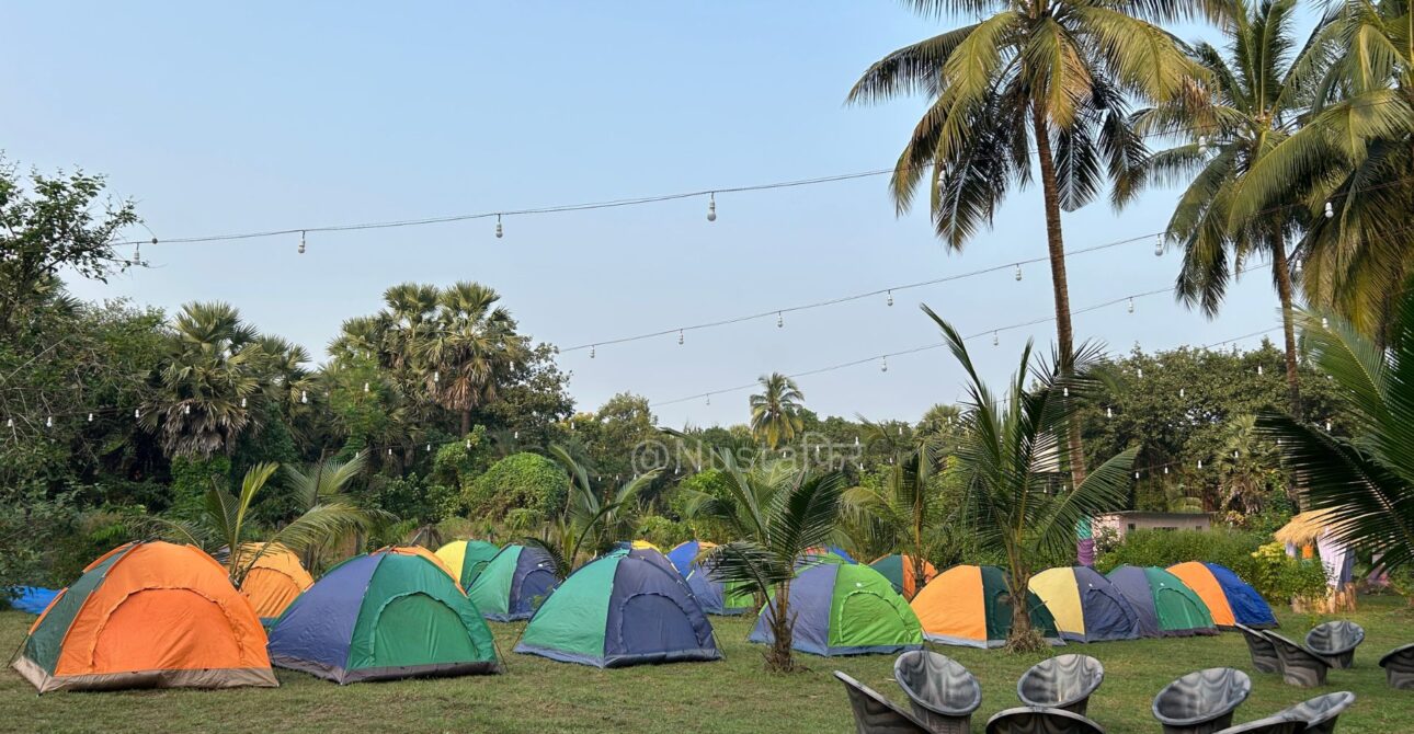 Palghar Beach Camping, Saphale